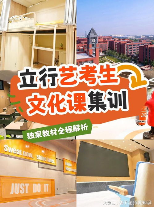 济南商河艺术生文化课冲刺班 如何选择教学质量高的培训机构